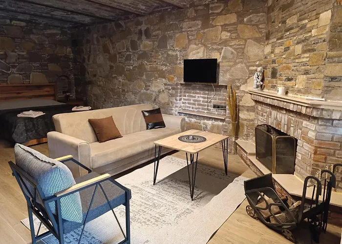 Gazde/Camere de închiriat Tas Evler Butik