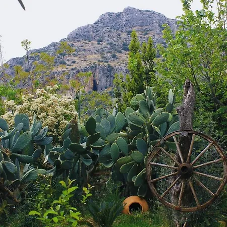 Tas Evler Butik 民宿 Sirince
